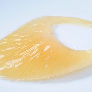 Vi cá mập tươi