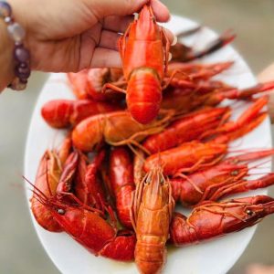 Tôm hùm đất size 20-30