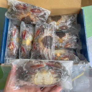 Cua lột