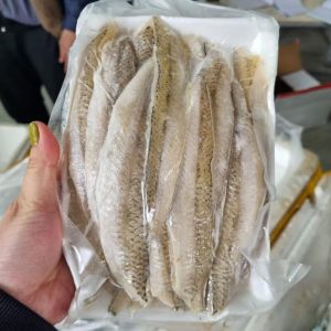 Cá mối fillet
